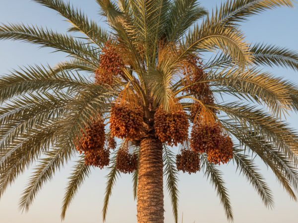 gemini generated image fkcdjdfkcdjdfkcd